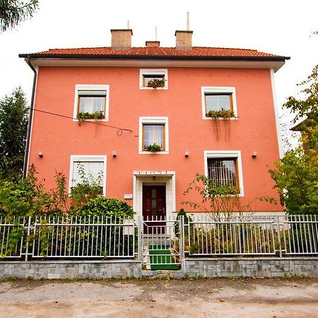 Guest House Pikapolonca Maribor Zewnętrze zdjęcie