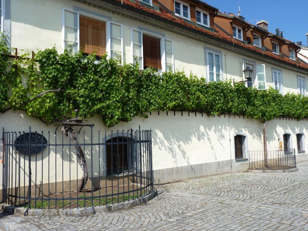 Guest House Pikapolonca Maribor Zewnętrze zdjęcie