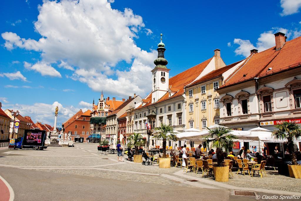 Guest House Pikapolonca Maribor Zewnętrze zdjęcie